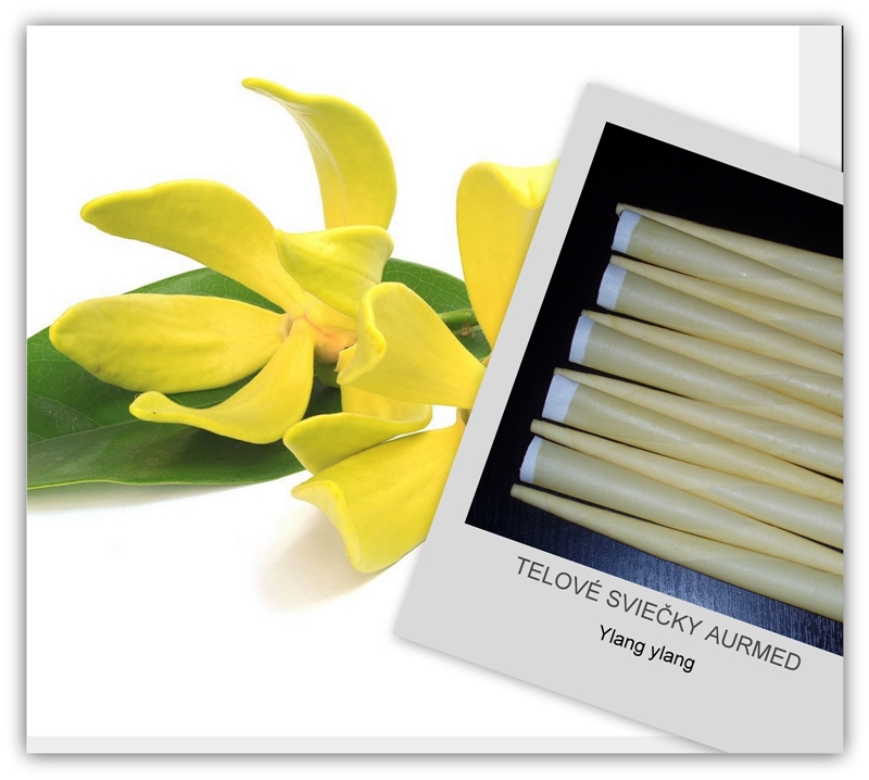Ylang Ylang telová sviečka 1 ks