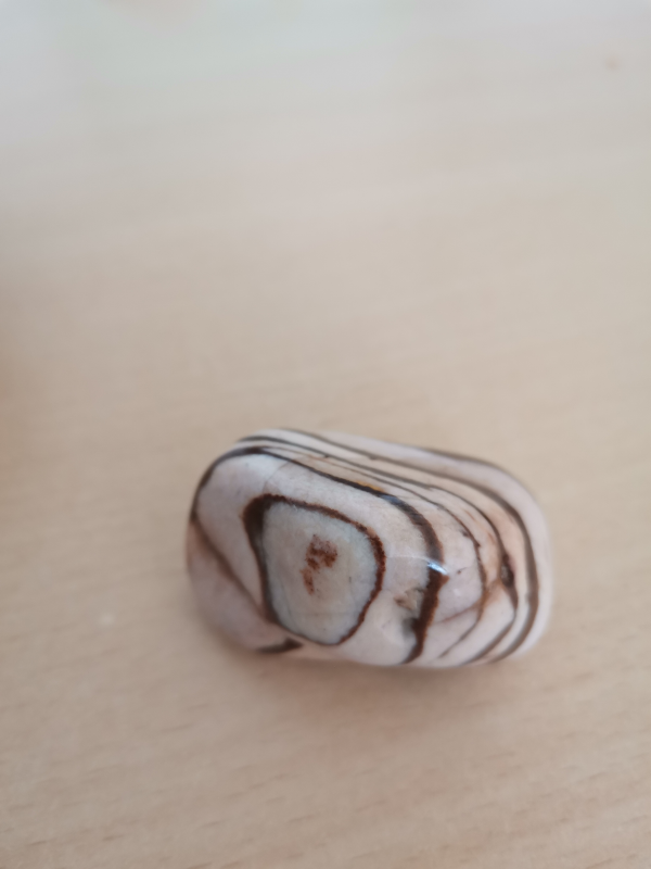 Jaspis zebra JA25