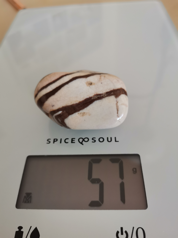Jaspis zebra JA25